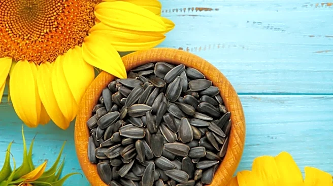 Archer Daniels Midland Leads Sunflower Meal Production for Growing Aquaculture Market