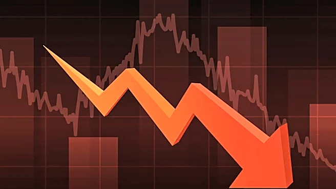 Walmart's Stock Declines Despite Strong Fundamentals Amidst High Market Expectations