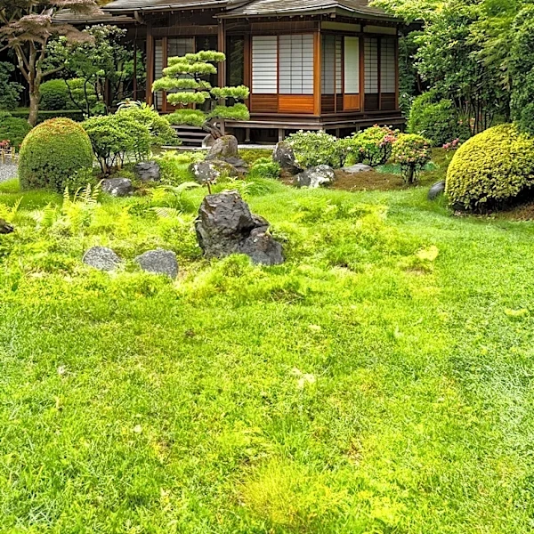 U.S. Japanese Gardens Gain Popularity, Blending Tradition with American Landscapes