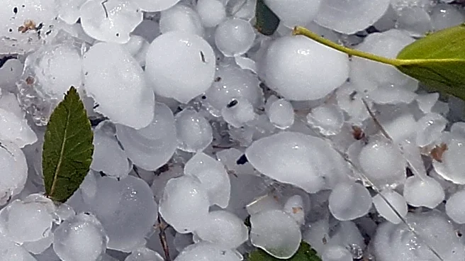 State Farm Internal Documents Reveal Cost-Cutting Strategy on Oklahoma Hail Claims
