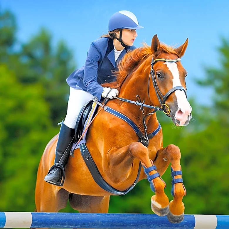 Horse Welfare in Equestrian Sports Faces Increased Scrutiny and Calls for Reform