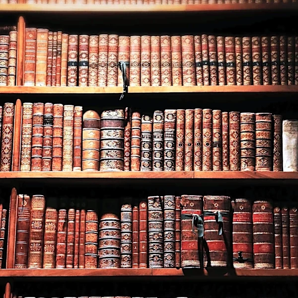 Shakespeare's Influence on Everyday English Vocabulary Highlighted