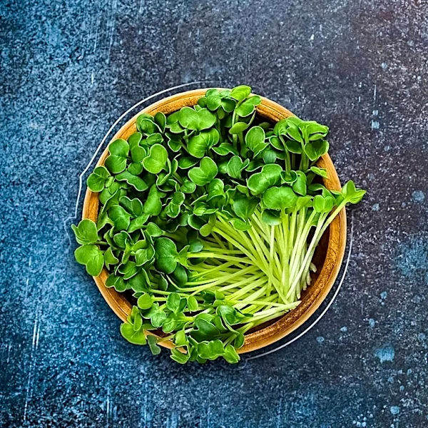 Microalgae from Cultivated Meat Waste Could Significantly Reduce Production Costs