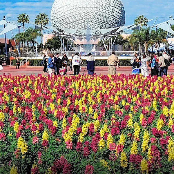 Walt Disney World Seeks Part-Time Costume Specialist in Orlando, Florida