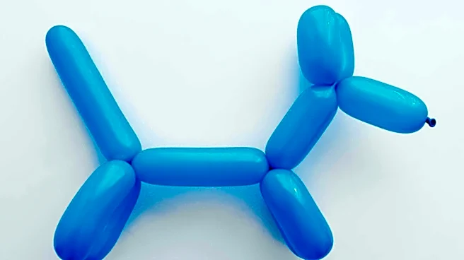 Idaho Falls Couple Transforms Events with Balloon Artistry, Expanding Local Business