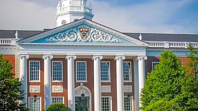 U.S. Business Schools Enhance Startup Ecosystems with Incubators and Accelerators