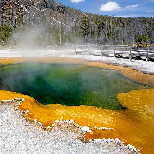 Writer Sues 'Yellowstone' Creator Taylor Sheridan Alleging Idea Theft