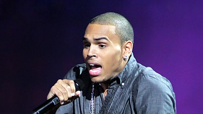 Judge Rules Chris Brown's Tour Earnings Can Be Seized to Pay Former Housekeeper $13 Million Judgment