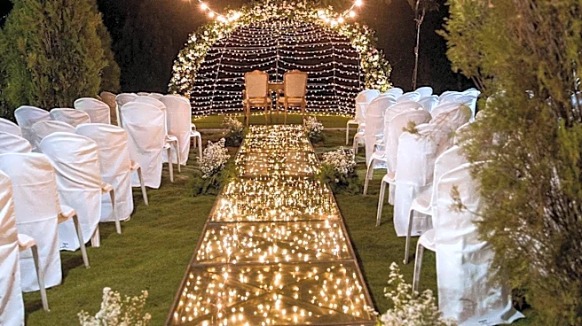 AnnaLynne McCord and Danny Cipriani Marry in Los Angeles Amidst Crowdfunding Controversy