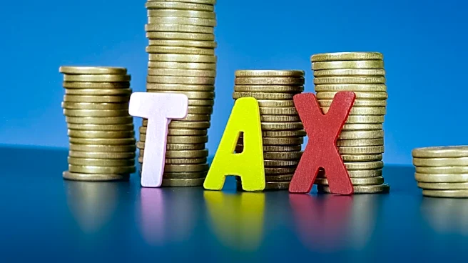OECD Model Rules Impact Trusts and Foundations Under Pillar Two Tax Regulations