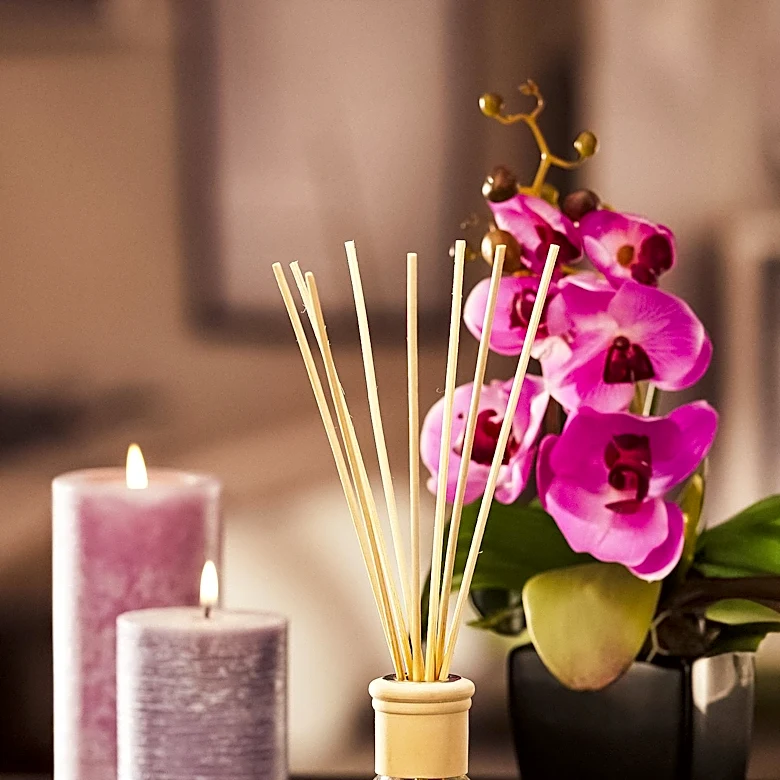 Home Fragrance Rituals Evolve with Modern and Traditional Scents