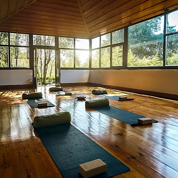 Camp Lucy Unveils Folklore, a New Social Spa and Wellness Destination in Texas Hill Country