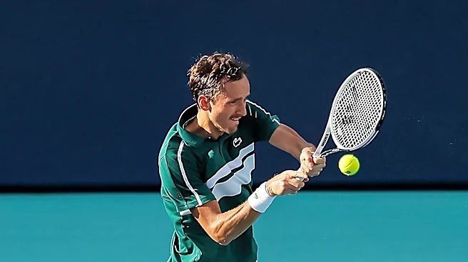 Wild-Card Entrant Martin Damm Upsets Top-Seeded Daniil Medvedev at Winston-Salem Open