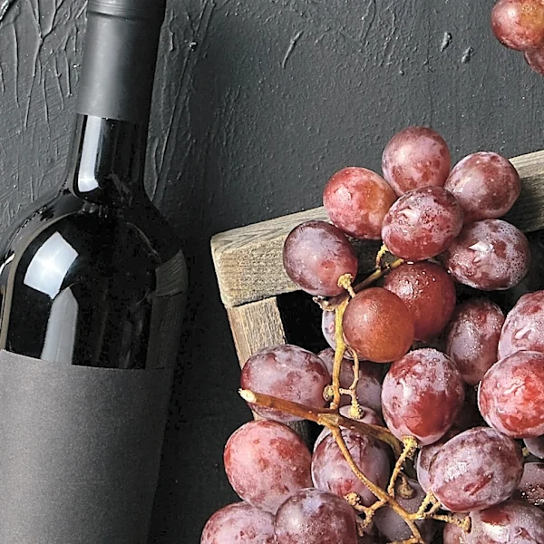 Patagonia Emerges as a Distinctive Region in the Global Pinot Noir Market