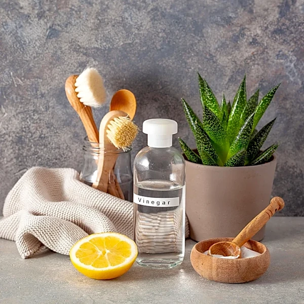 The Perfect Clean Emphasizes Eco-Friendly Cleaning Solutions in Gilbert, Arizona
