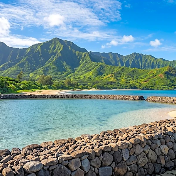 Hawai'i Promotes Voluntourism for Sustainable Travel and Conservation Efforts