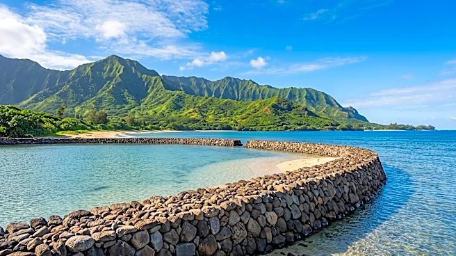 Hawai'i Promotes Voluntourism for Sustainable Travel and Conservation Efforts