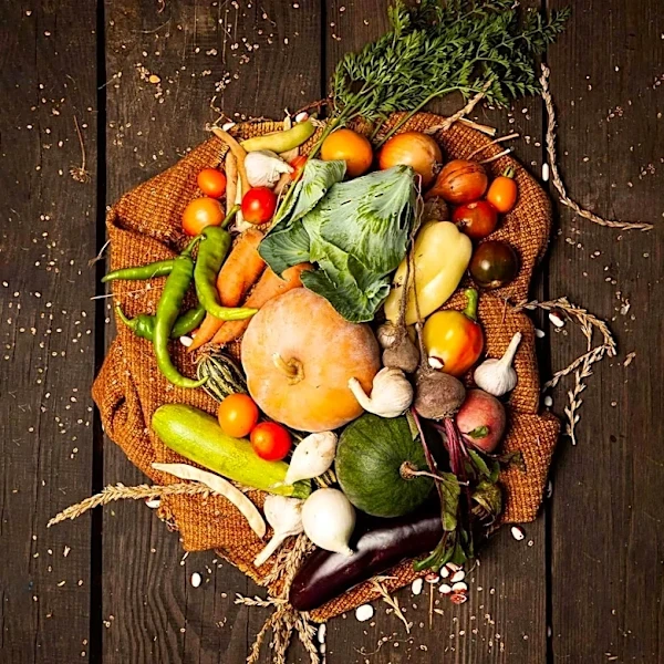 San Diego Chef Aidan Owens Advocates for Local Sourcing and Sustainable Practices