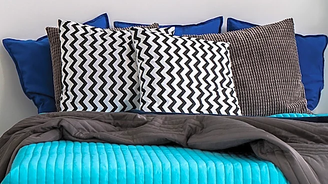 Dorm Decor Trends Emphasize Personalization and Bold Aesthetics for College Students
