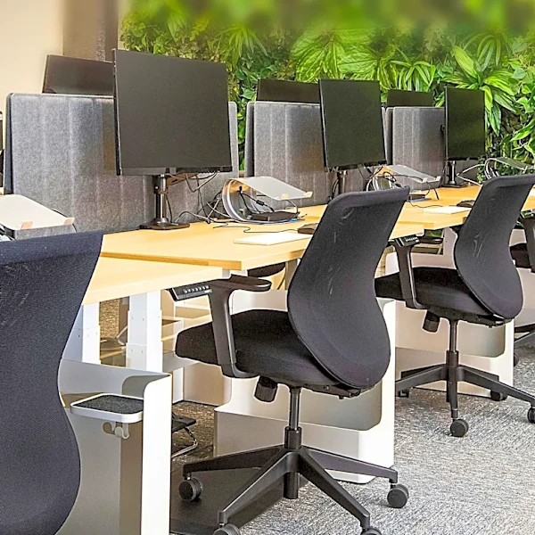 Workplace Design Shifts Towards Human-Centered, Biophilic Environments