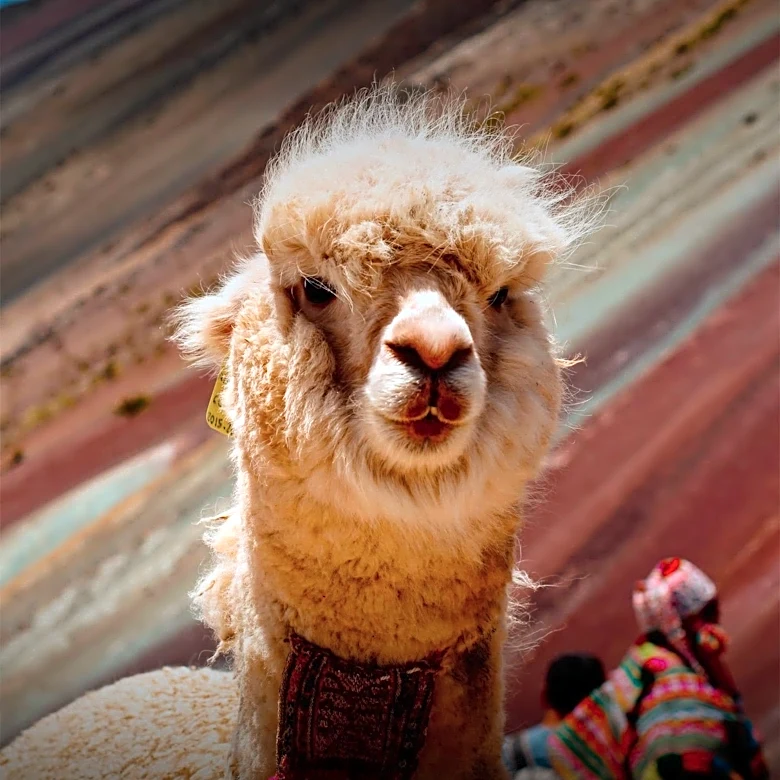 Monetae Launches Tokenized US Stocks in El Salvador via Alpaca Infrastructure