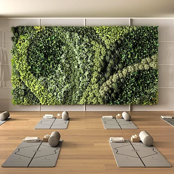 Environmental Wellness Recognized as Key Dimension of Overall Well-being