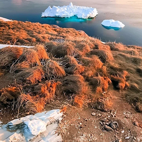 Squaremouth Report Identifies Greenland as Most Expensive Travel Destination for 2026