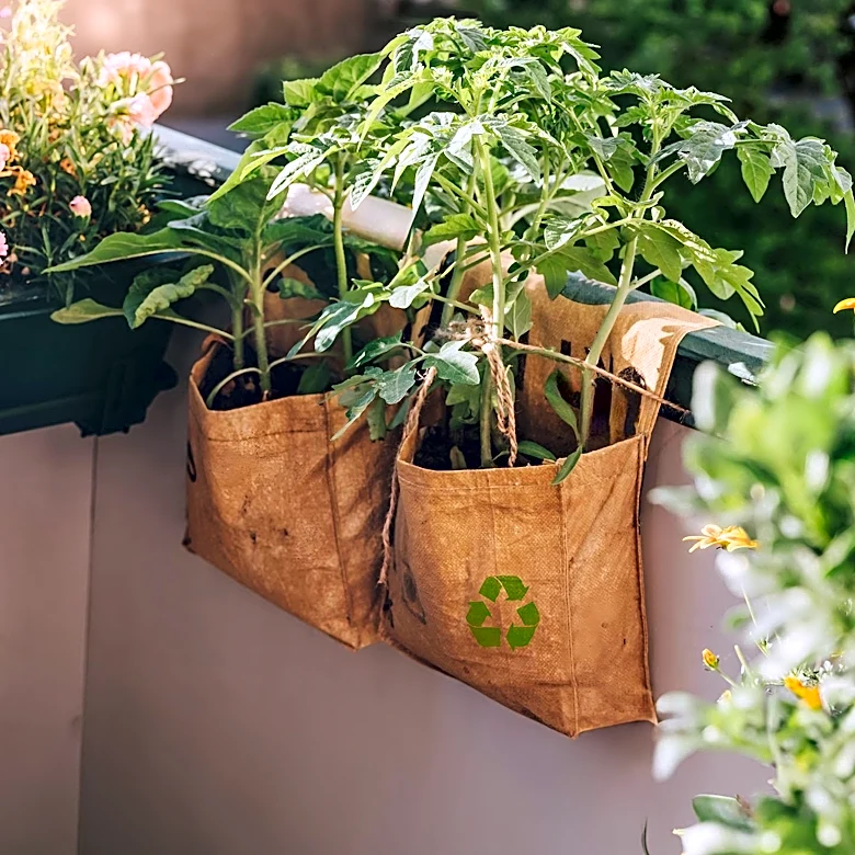 Young Professionals Embrace Urban Gardening for Well-being and Sustainability