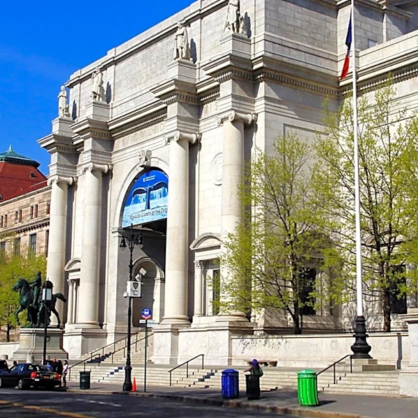 Natural History Museum Hosts Sound Bath in North American Mammal Hall
