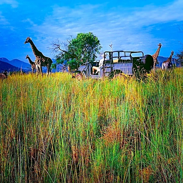 Luxury Safari Travel in Africa Shifts Towards Active, Immersive Experiences Beyond Traditional Jeep Safaris
