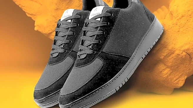 Vans Transforms Standard Snow Boot into Low-Top Sneaker, the Standard Low