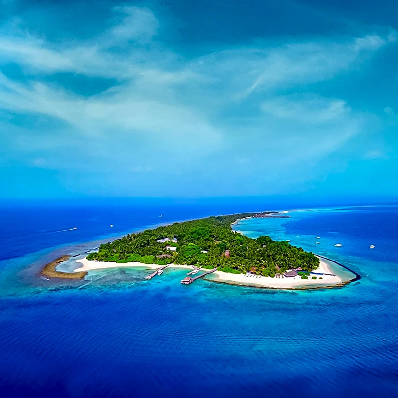 Tim Draper, Prominent Tech Investor, Lists Tanzanian Private Island for $7.9 Million