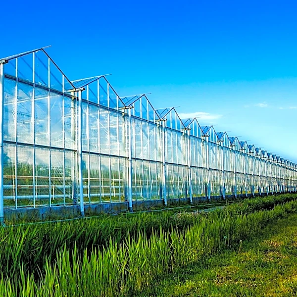 Greenhouse Technology Leverages AI and Automation to Cut Energy and Resource Costs