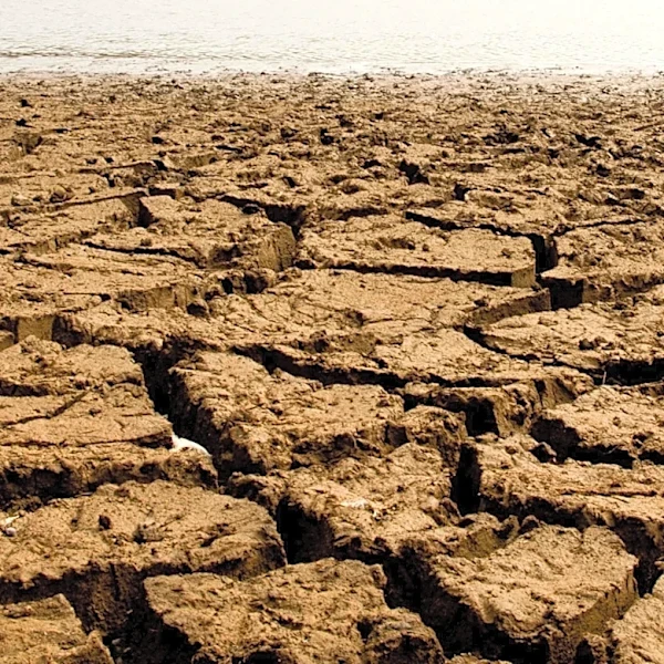 Peterson Institute for International Economics Estimates Super El Niño Could Cause $986 Billion Economic Loss in 2027