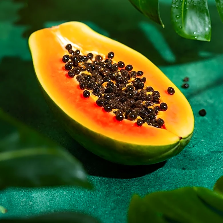 Papaya Leaf Tea Identified as Caffeine-Free Alternative for Daily Wellness