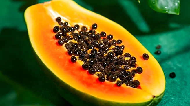 Papaya Leaf Tea Identified as Caffeine-Free Alternative for Daily Wellness