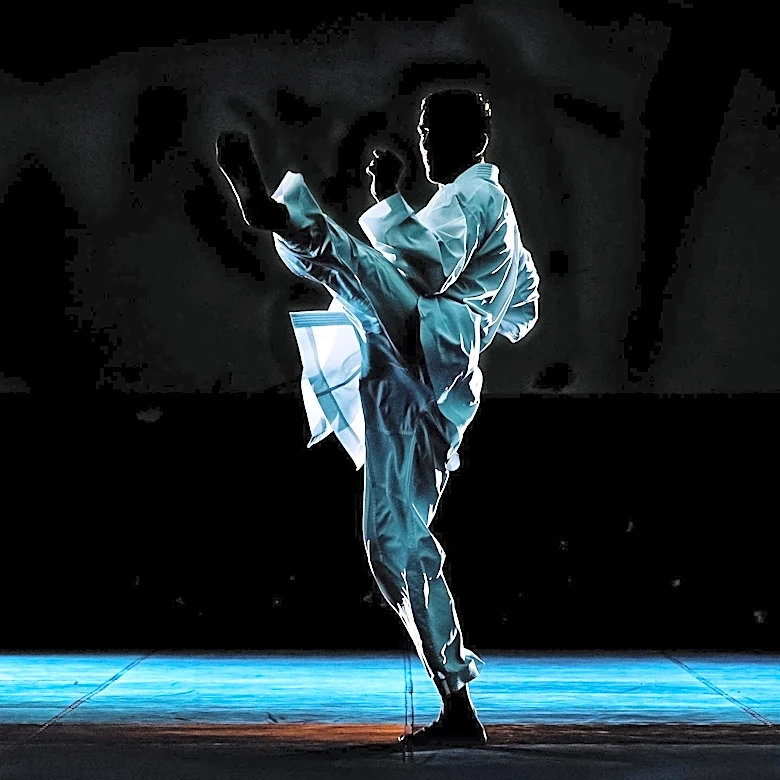 Black Belt Magazine Highlights American Martial Arts Films, Featuring Michael Jai White's 'Blood and Bone'