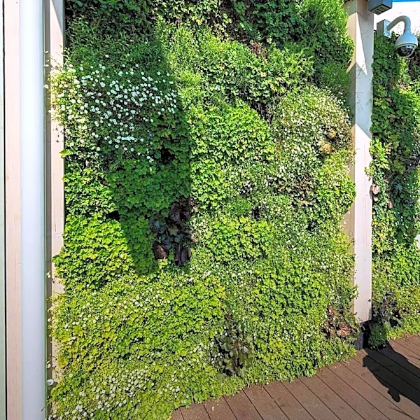 Vertical Gardens Emerge as Key Solution for Maximizing Small Outdoor Spaces