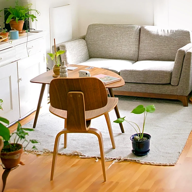 Visual Decluttering Trend Gains Traction for Mental Clarity and Mindful Consumption