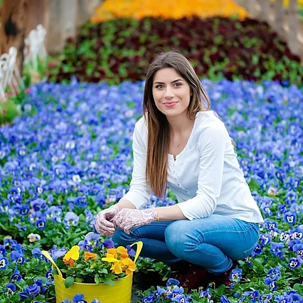 Memphis Gardener Establishes Flower Business Through Community Land-Sharing Initiative
