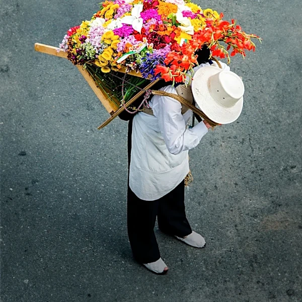 Miami Celebrates Colombian Culture with Inaugural Medellin Flower Festival in Wynwood