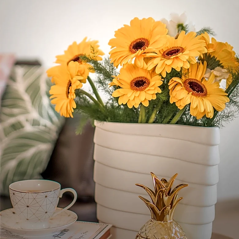 Colleen Hoover's Aesthetic Inspires Affordable Home Decor Finds at Dollar Tree