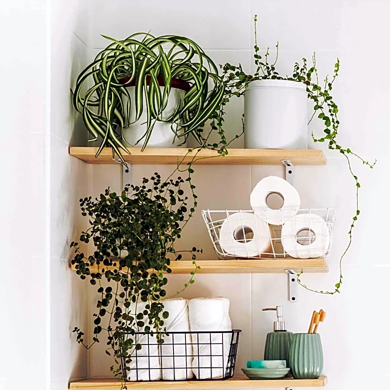 DIYer Repurposes CD Rack for Space-Saving Bathroom Storage