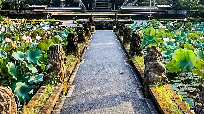 Ubud, Bali Offers Diverse Tourist Attractions and Accommodation Options