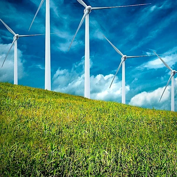 Amazon Expands Clean Energy Investments in Sweden with New Wind Power Projects