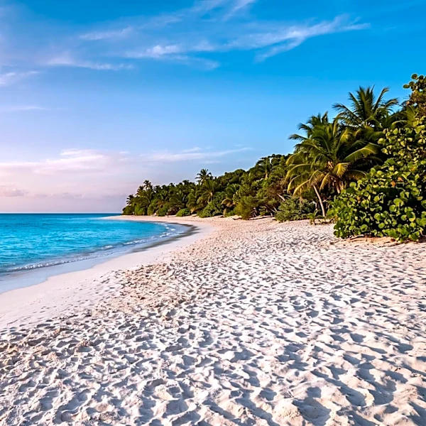 Wellness Escapes Evolve into Mainstream Lifestyle, Emphasizing Holistic Health and Nature-Based Experiences
