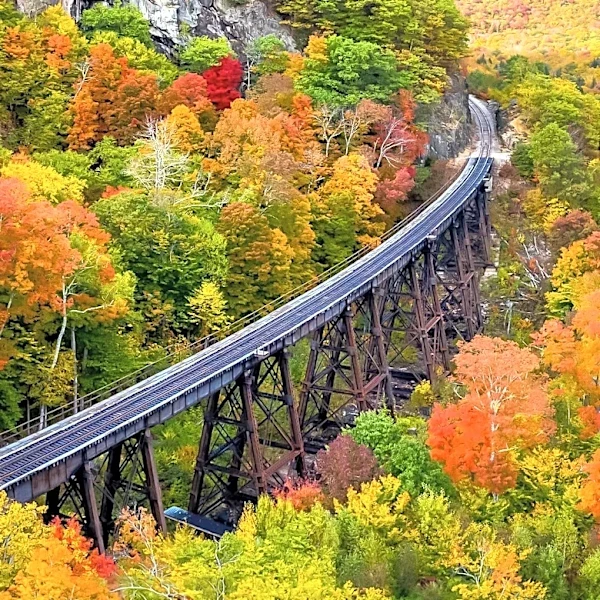 Brattleboro, Vermont Emerges as Budget-Friendly Fall Foliage Destination