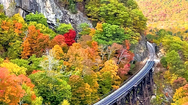 Brattleboro, Vermont Emerges as Budget-Friendly Fall Foliage Destination