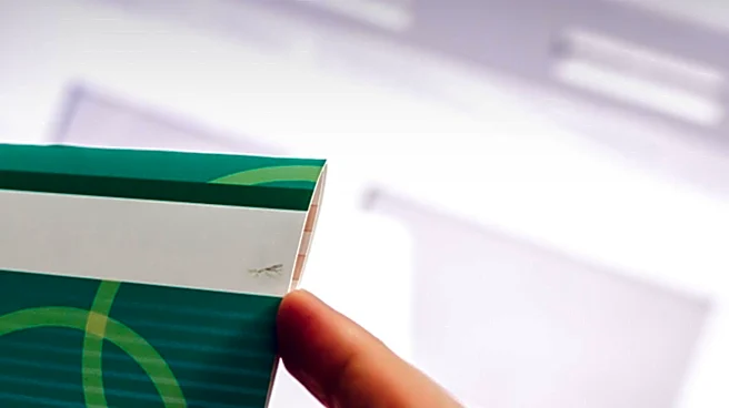 Zanda's Stripe Integration Focuses on Card Payments, Excludes Digital Wallets and BNPL Options