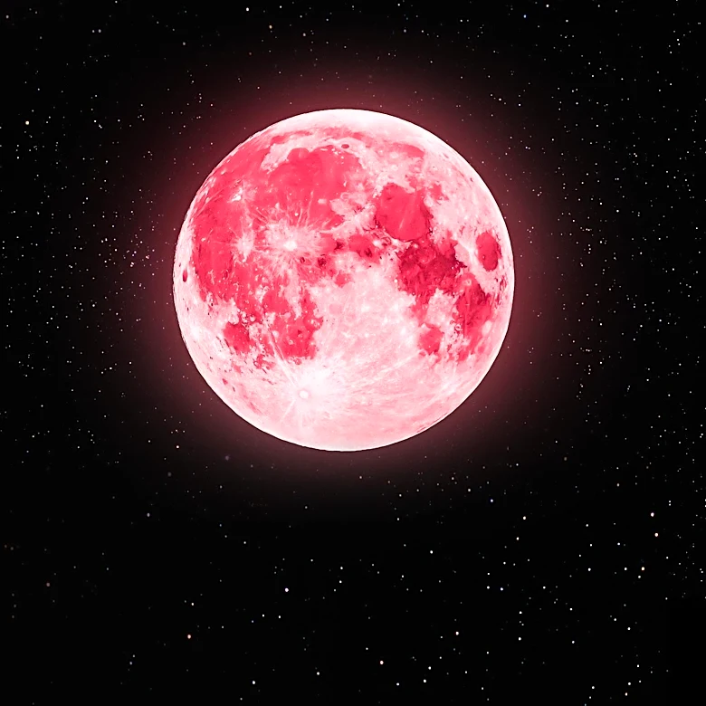 Kino Lorber Acquires North American Rights to IDFA-Winning Documentary 'A Fox Under a Pink Moon'